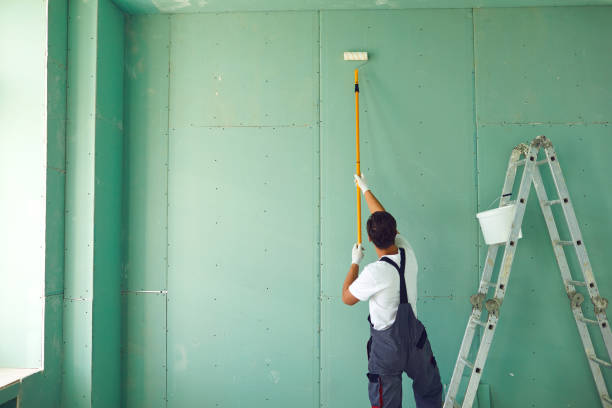 Reliable Auburn, KY Mold Removal Solutions