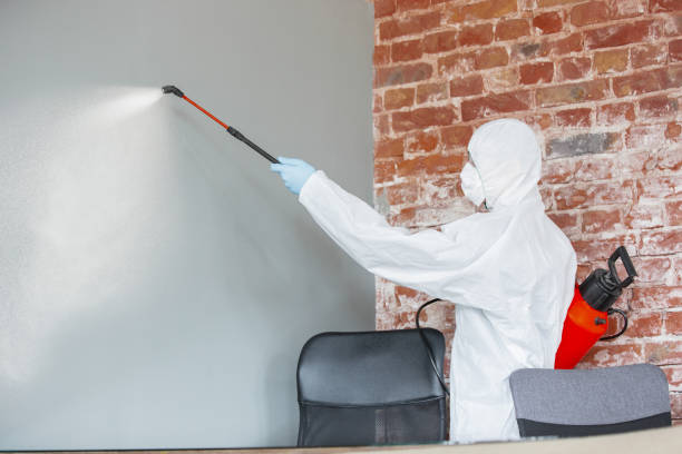 Best Commercial Mold Inspection  in Auburn, KY